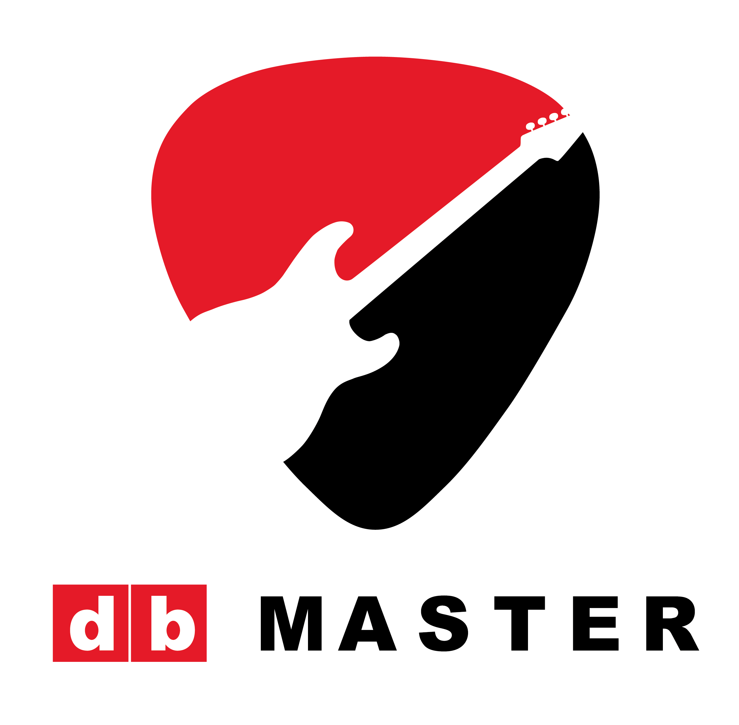 Logo DB MASTER